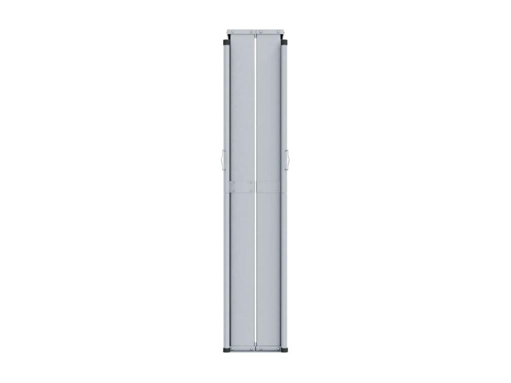 Auvent latéral rétractable Anthracite 200x1200 cm SBRN61613